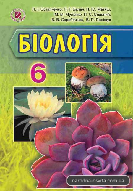 Українська Мова. 1-4 Класи.