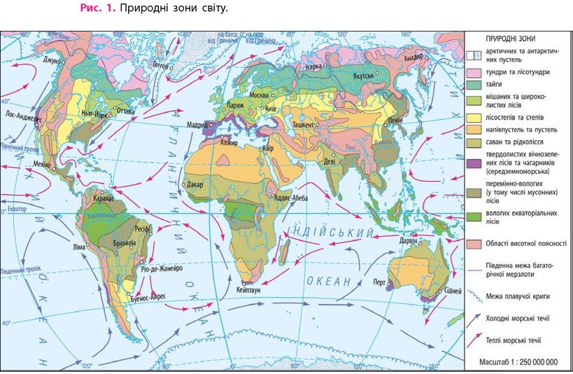 Природні зони світу. Карта