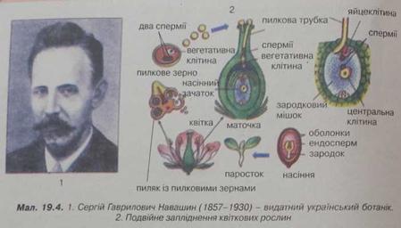 Сергій Гаврилович Навашин - видатний український ботанік. Подвійне запліднення квіткових рослин